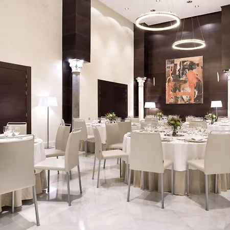 Hotel Nh Collection Victoria Granada